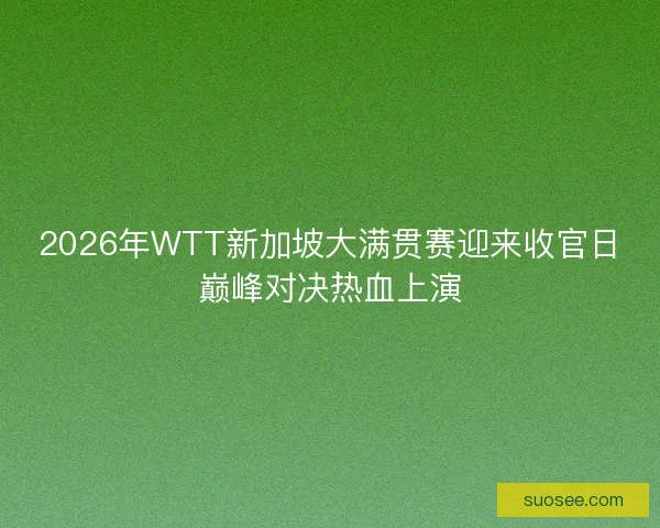 2026年WTT新加坡大满贯赛迎来收官日巅峰对决热血上演