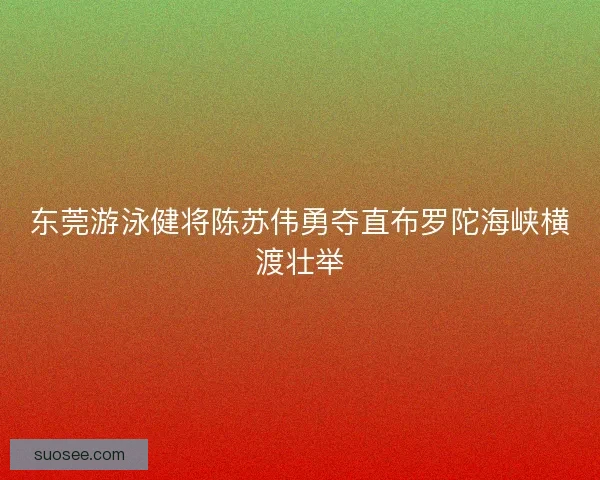 东莞游泳健将陈苏伟勇夺直布罗陀海峡横渡壮举